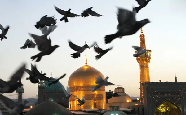 عکس پیش زمینه حرم امام رضا