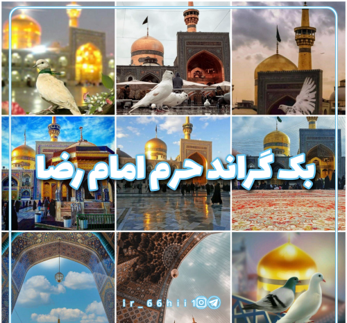 عکس پیش زمینه حرم امام رضا