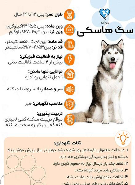 عکس بزرگترین سگ هاسکی
