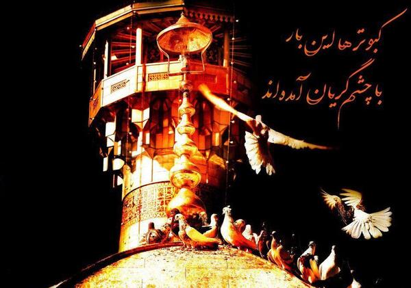 عکس حرم امام رضا امدم ای شاه پناهم