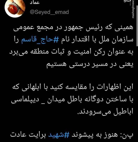 عکس شهید رئیسی در سازمان ملل