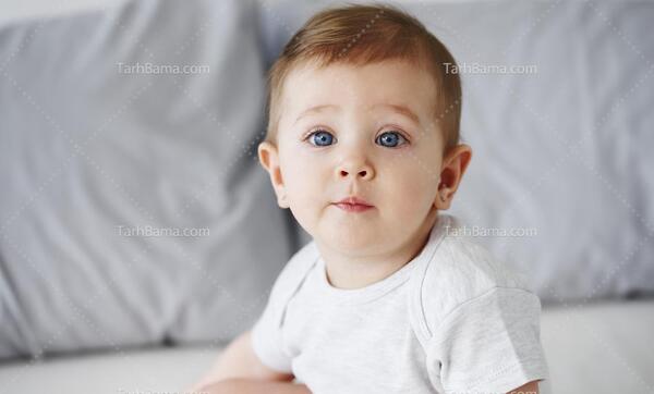 عکس با پس زمینه خاکستری