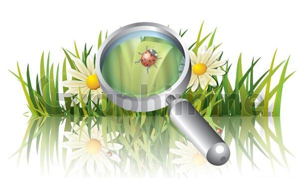 ذره بین عکس