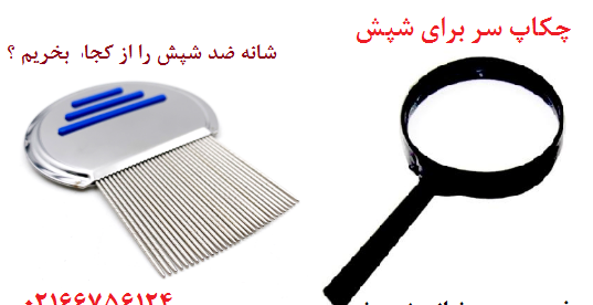 عکس شپش با ذره بین