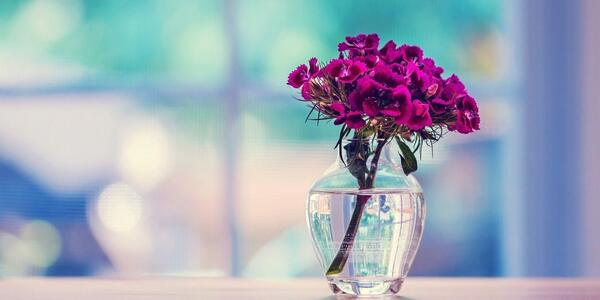 عکس برای پس زمینه دسکتاپ