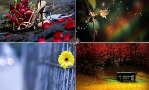 عکس برای پس زمینه دسکتاپ