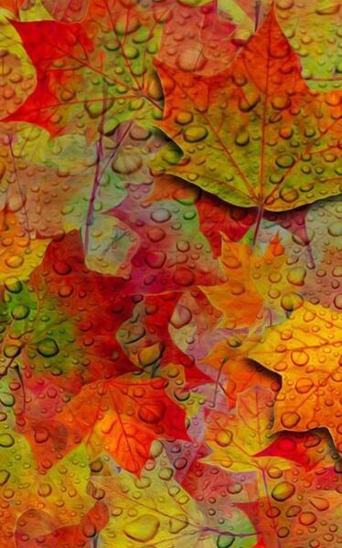 عکس پس زمینه ی رویایی