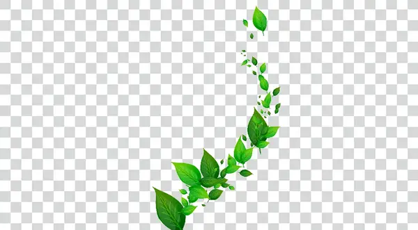 عکس پشت زمینه سبز