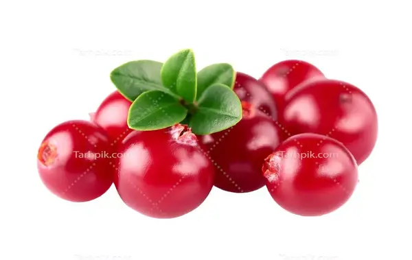 عکس با پس زمینه شطرنجی