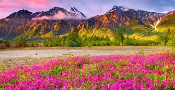 عکس های زمینه طبیعت