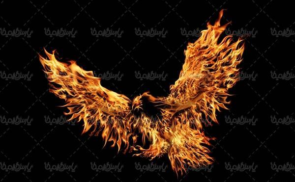 زمینه عکس عقاب آتشین