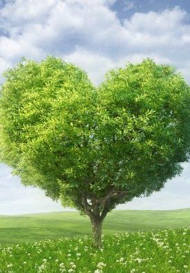 عکس پس زمینه عاشقانه جدید