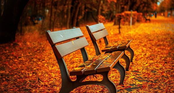 عکس پس زمینه فانتزی برای لپ تاپ