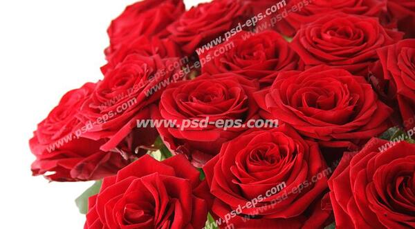 عکس زمینه قرمز مخملی