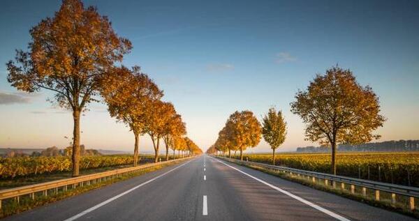 عکس برای تصویر زمینه با کیفیت بالا