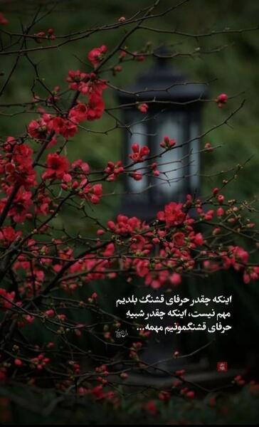 عکس پس زمینه متن دار