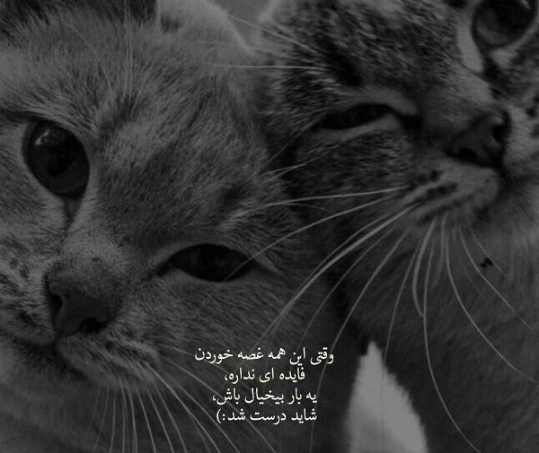 عکس نوشته زمینه سفید