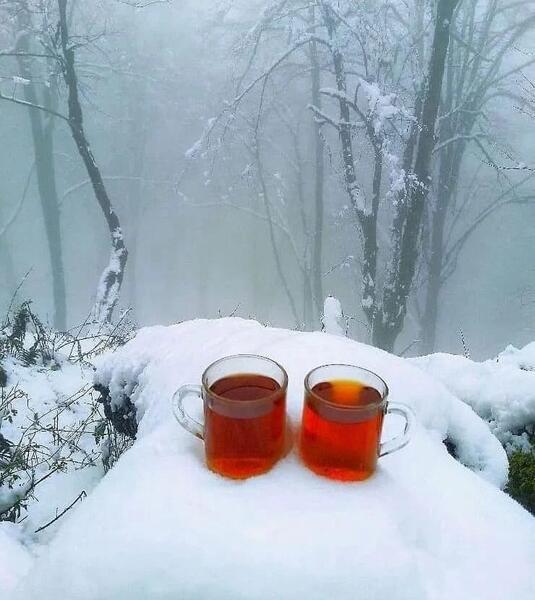 عکس دونفره برفی