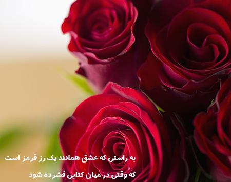 عکس گل و دلتنگی