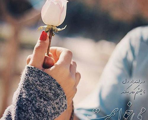 عکس گل و دلتنگی