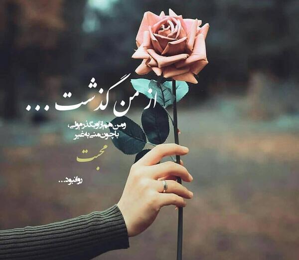 عکس گل و دلتنگی