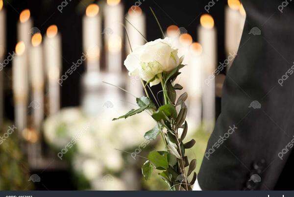 عکس گل برای دلتنگی