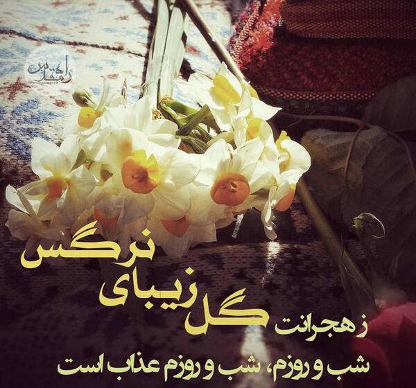 عکس گل برای دلتنگی