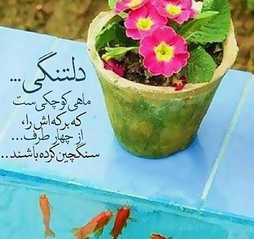 عکس گل برای دلتنگی