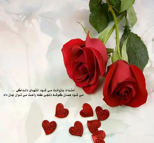 عکس گل برای دلتنگی