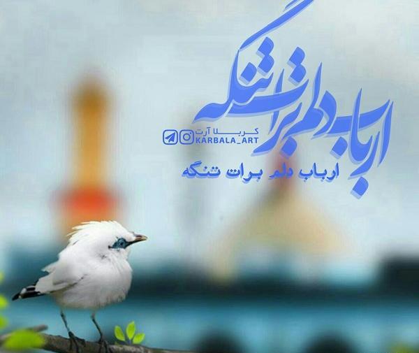 عکس پروفایل دلتنگ کربلایم