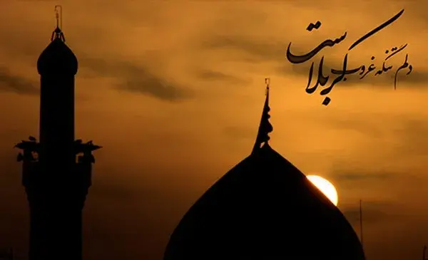 عکس دلتنگی برای کربلا