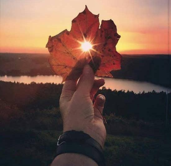 عکس غروب دلتنگی بدون متن