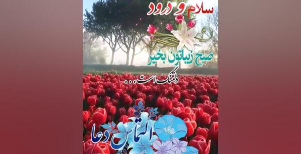 عکس سلام صبح بخیر دلتنگی
