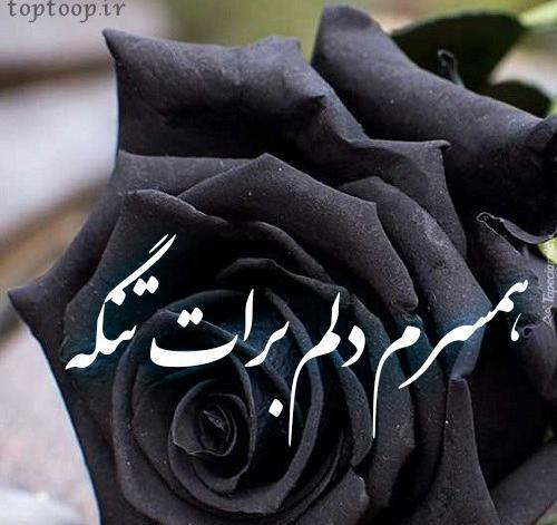 عکس دلتنگی برای شوهر