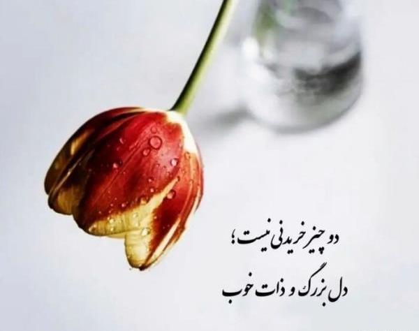 عکس گل دلتنگی برای پروفایل
