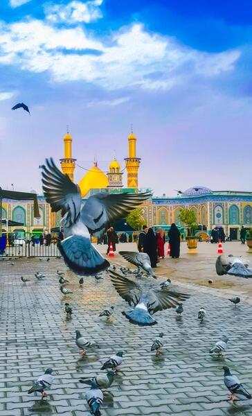 عکس دلتنگ حرمتم به کی بگم