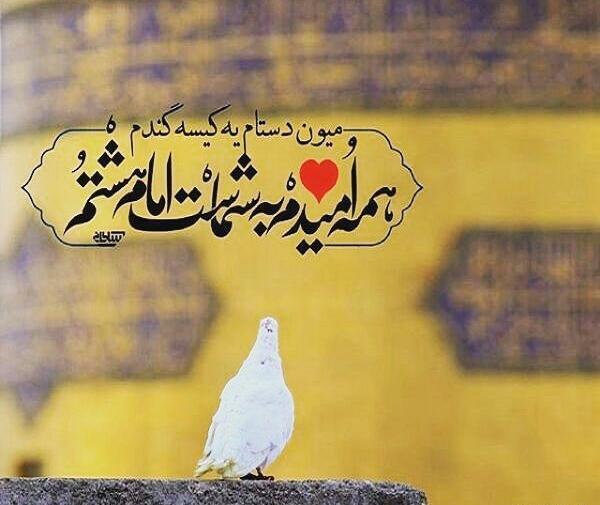 عکس دلتنگ حرمتم