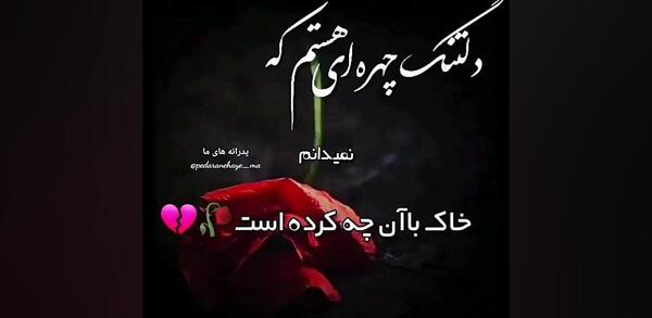 عکس دلتنگ چهره ای هستم که نمیدانم خاک با او چه کرده است