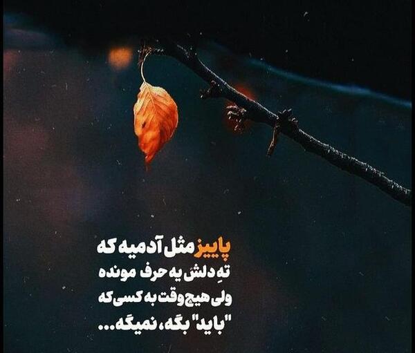 عکس دلتنگ چهره ای هستم که نمیدانم خاک با او چه کرده است