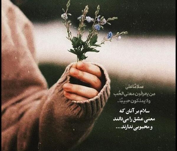 عکس گل با متن دلتنگی