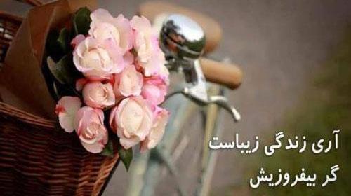 عکس گل با متن دلتنگی