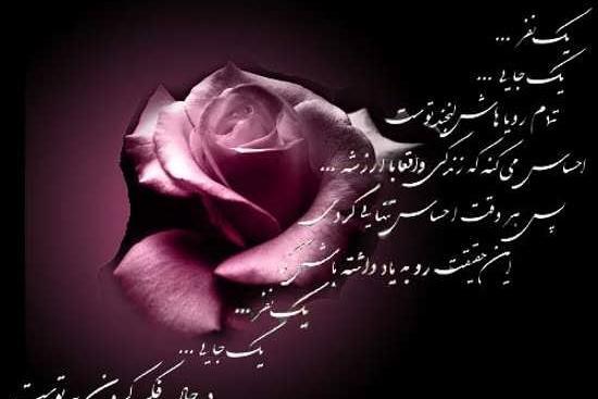 عکس گل با متن دلتنگی