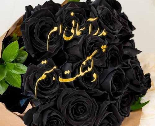 عکس گل دلتنگی عاشقانه