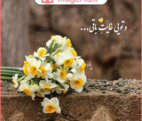 عکس گل دلتنگی عاشقانه