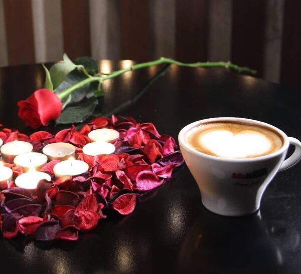 عکس گل دلتنگی عاشقانه