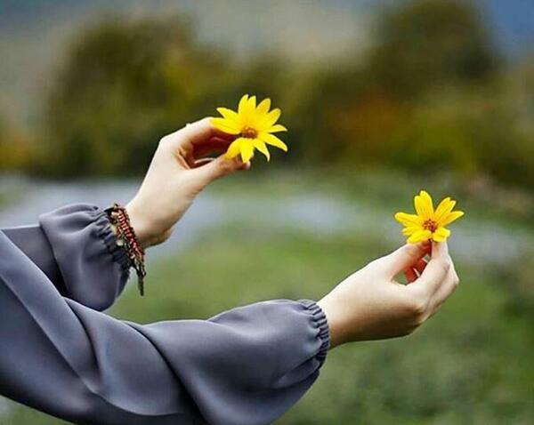 عکس پروفایل شاخه گل در دست دختر