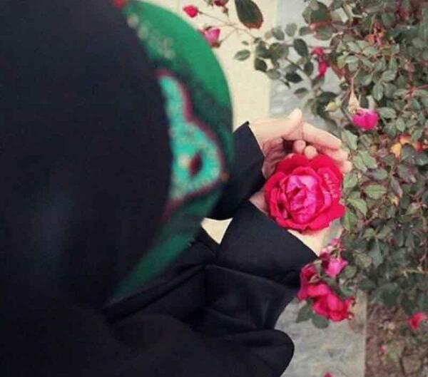 عکس پروفایل شاخه گل در دست دختر