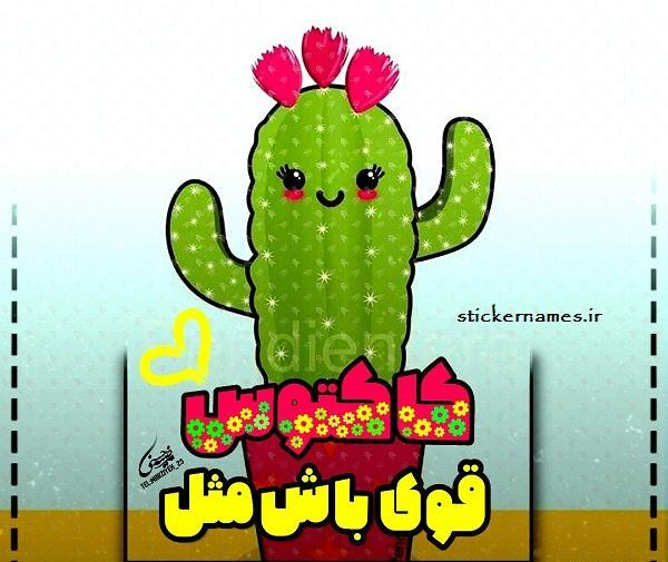عکس پروفایل قوی باش یه دختر شکست نمیخوره