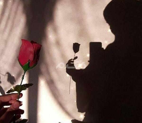 عکس سایه دختر برای پروفایل
