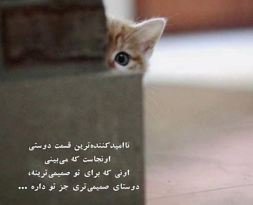 عکس پروفایل ضدحال به دخترا
